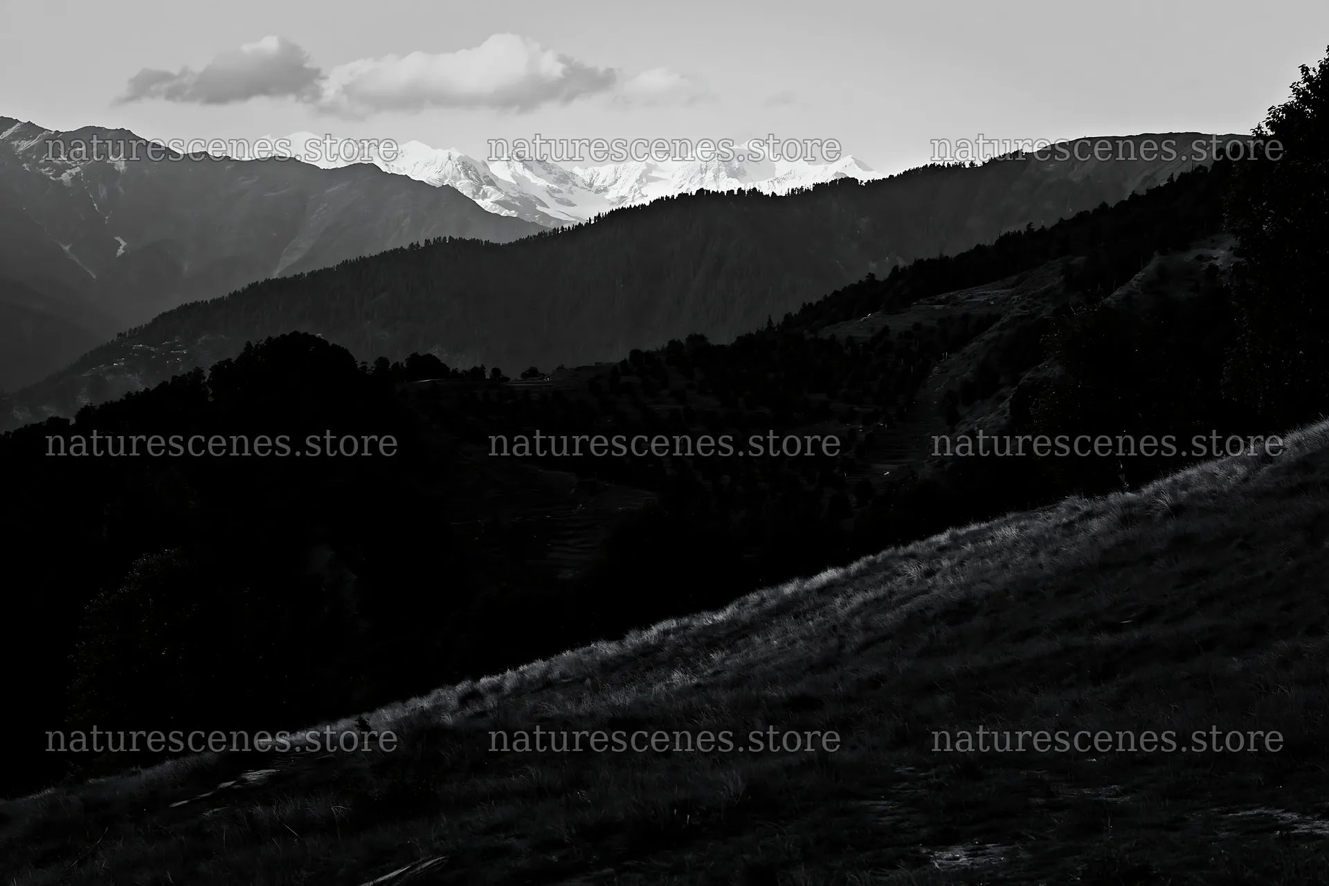 Sunset over apple meadow in mountain landscape – nature scenes 9722x6480