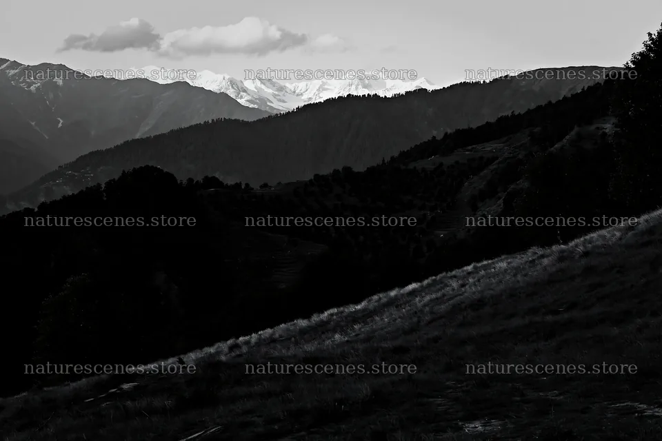 Sunset over apple meadow in mountain landscape – nature scenes 9722x6480