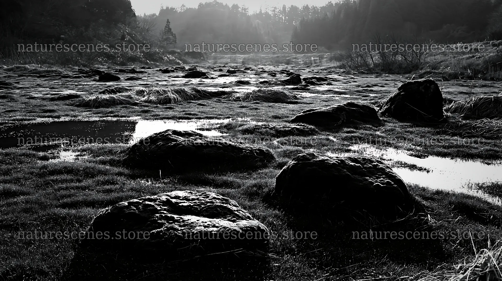 Mossy stones in Miyagi spring recovery meadow landscape – nature scenes 10608x5938