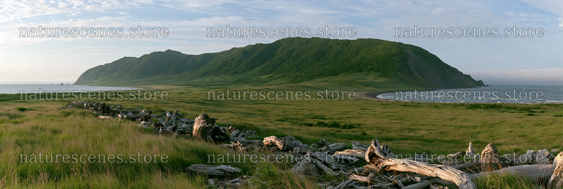 Chiba coastal meadow with driftwood against mountain backdrop – nature scenes 13690x4602