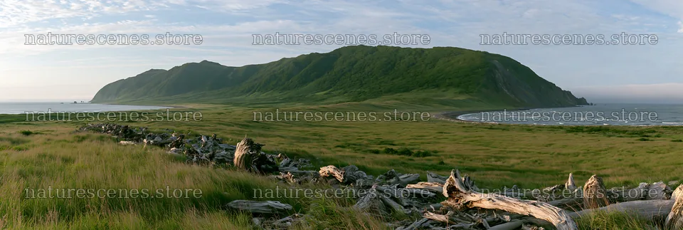 Chiba coastal meadow with driftwood against mountain backdrop – nature scenes 13690x4602