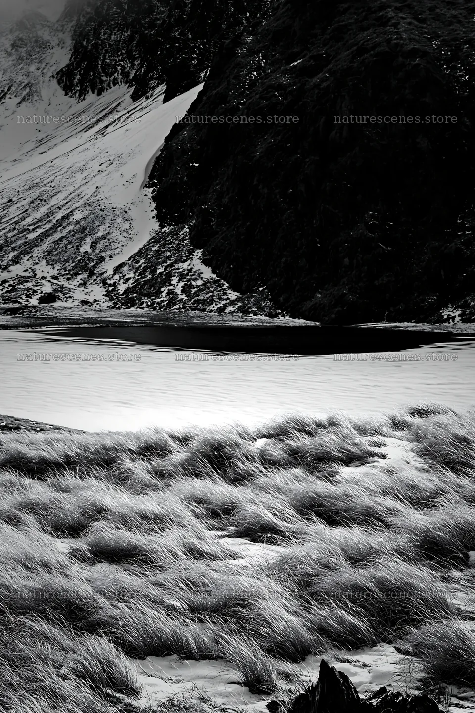 Frozen tarn meadow in a mountainous landscape with clear ice – nature scenes 6480x9722