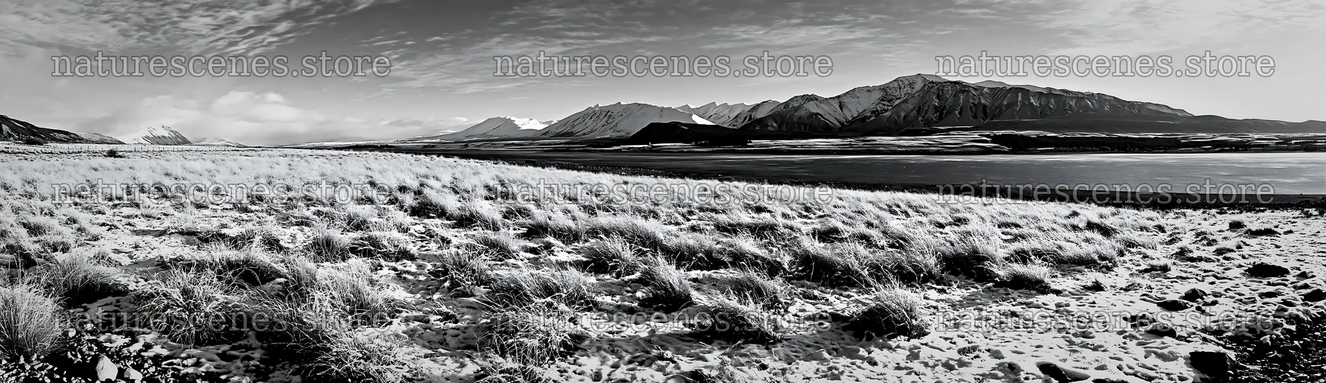 Lakeside meadow after first snowfall in black and white – nature scenes 14762x4268