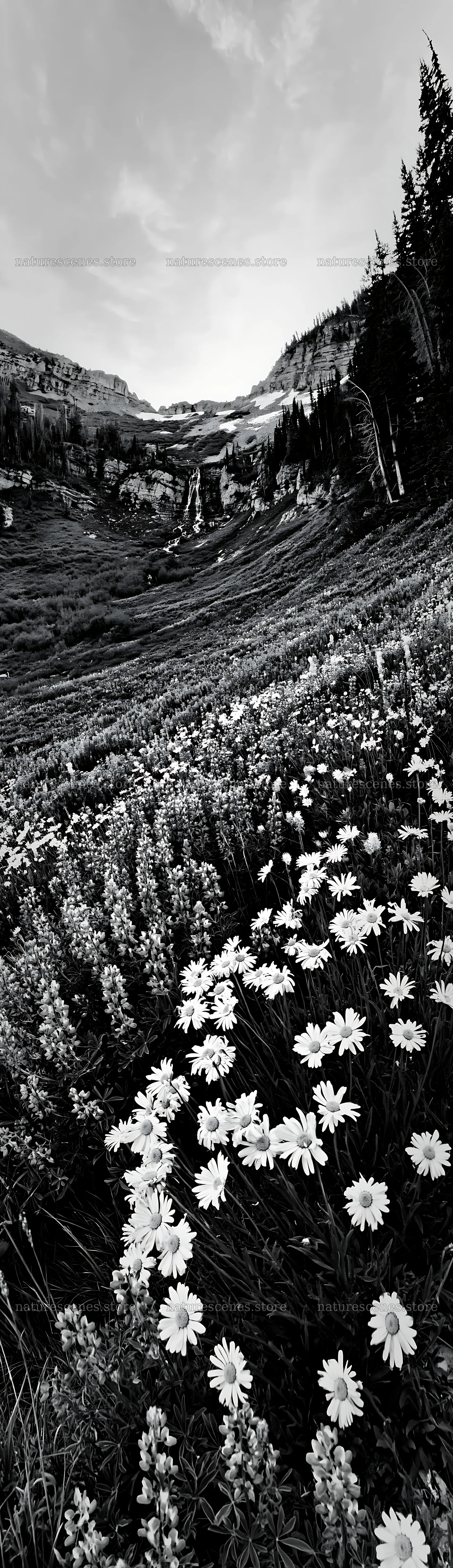 Meadow with wildflowers near a waterfall – nature scenes 4268x14762