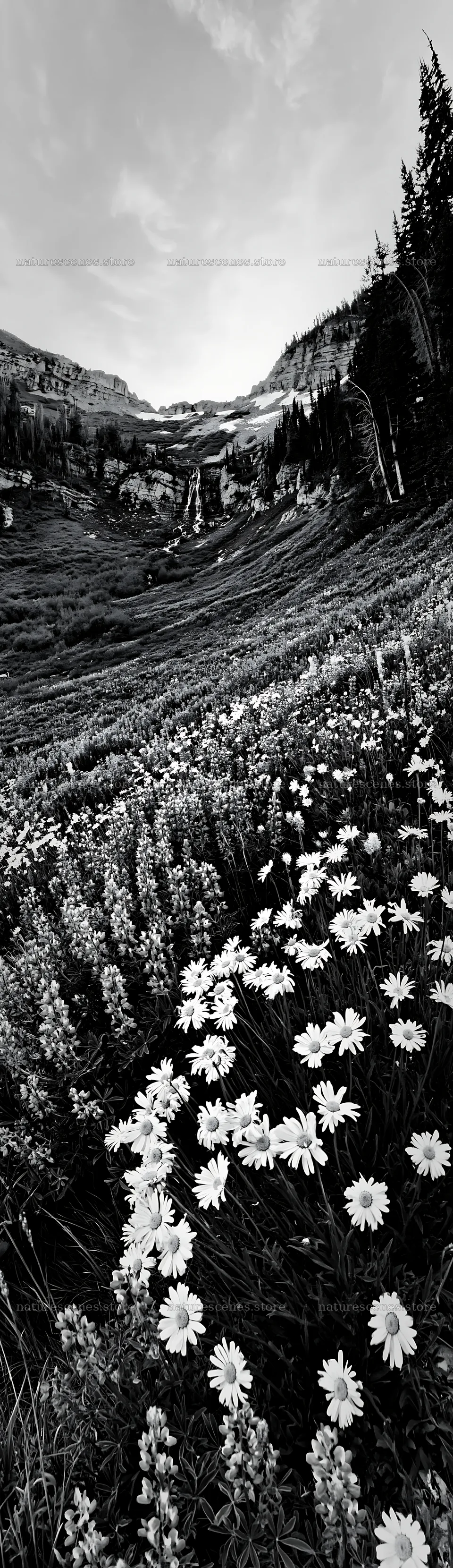 Meadow with wildflowers near a waterfall – nature scenes 4268x14762