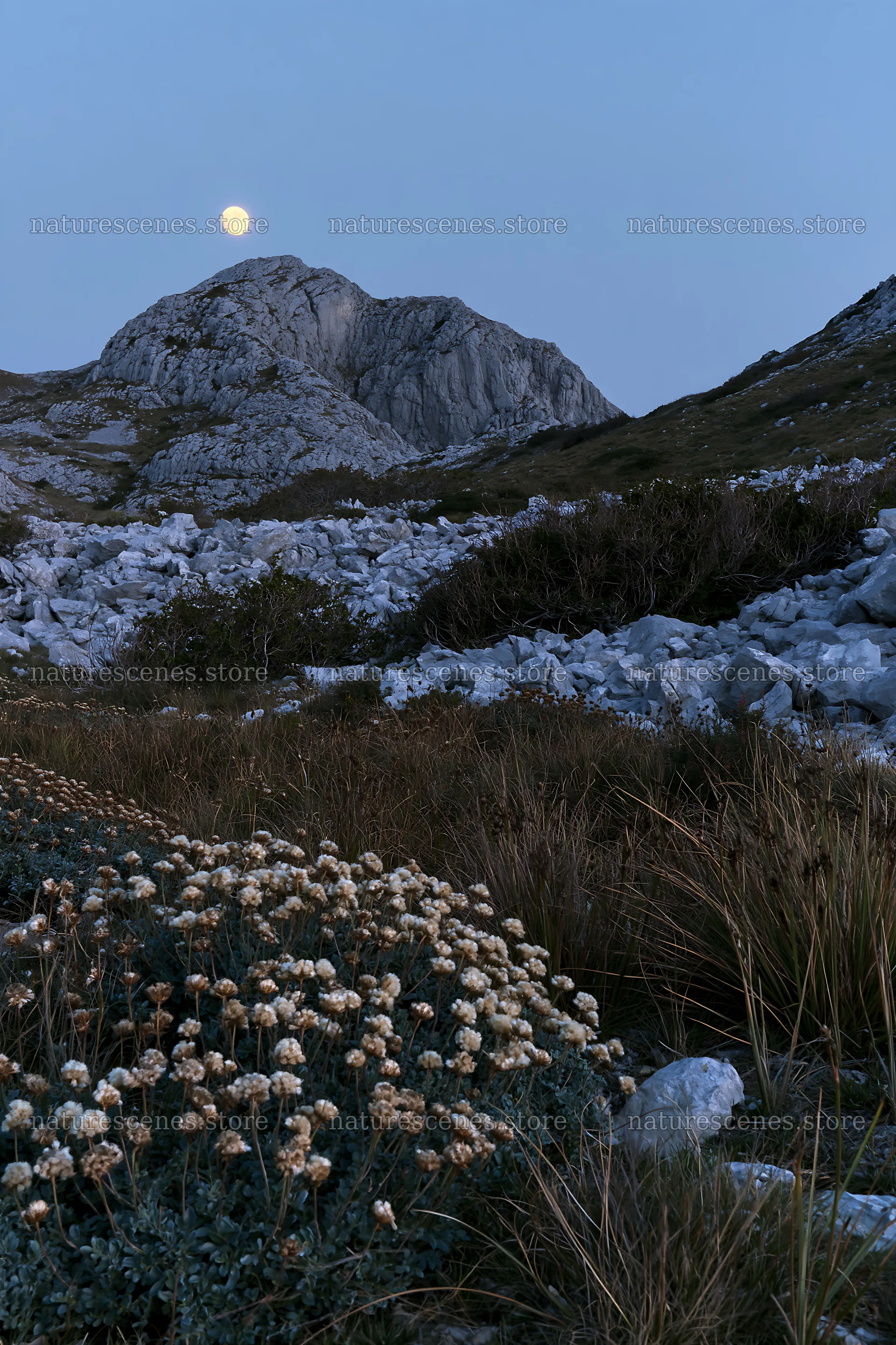 Moonrise over rocky meadow with flowers – nature scenes 6480x9722