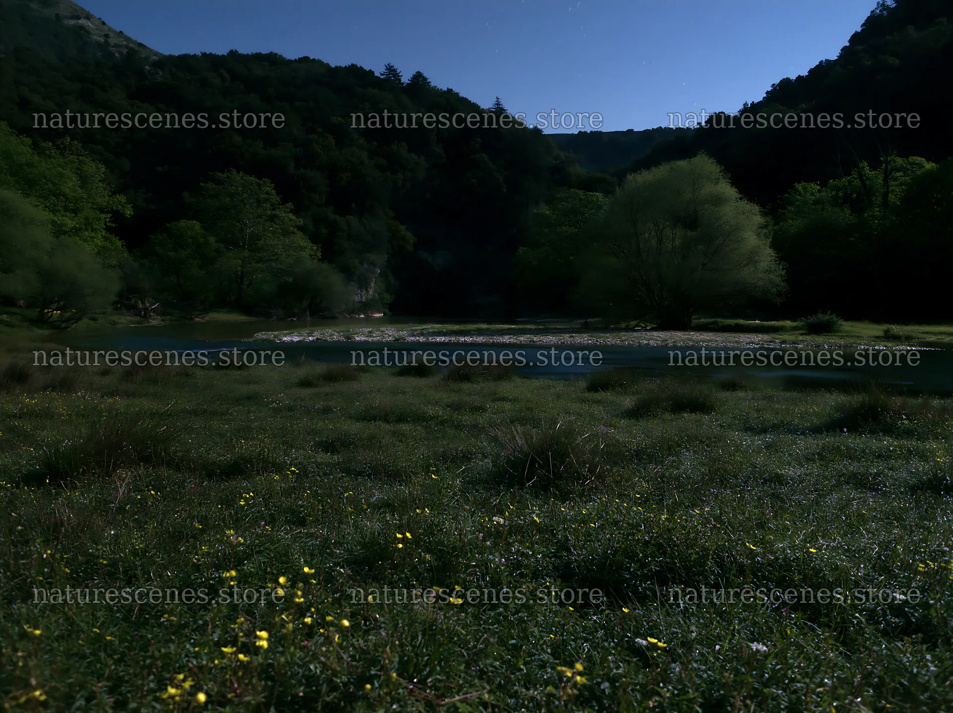 Moonlit meadow by a river with trees and grass – nature scenes 9174x6866