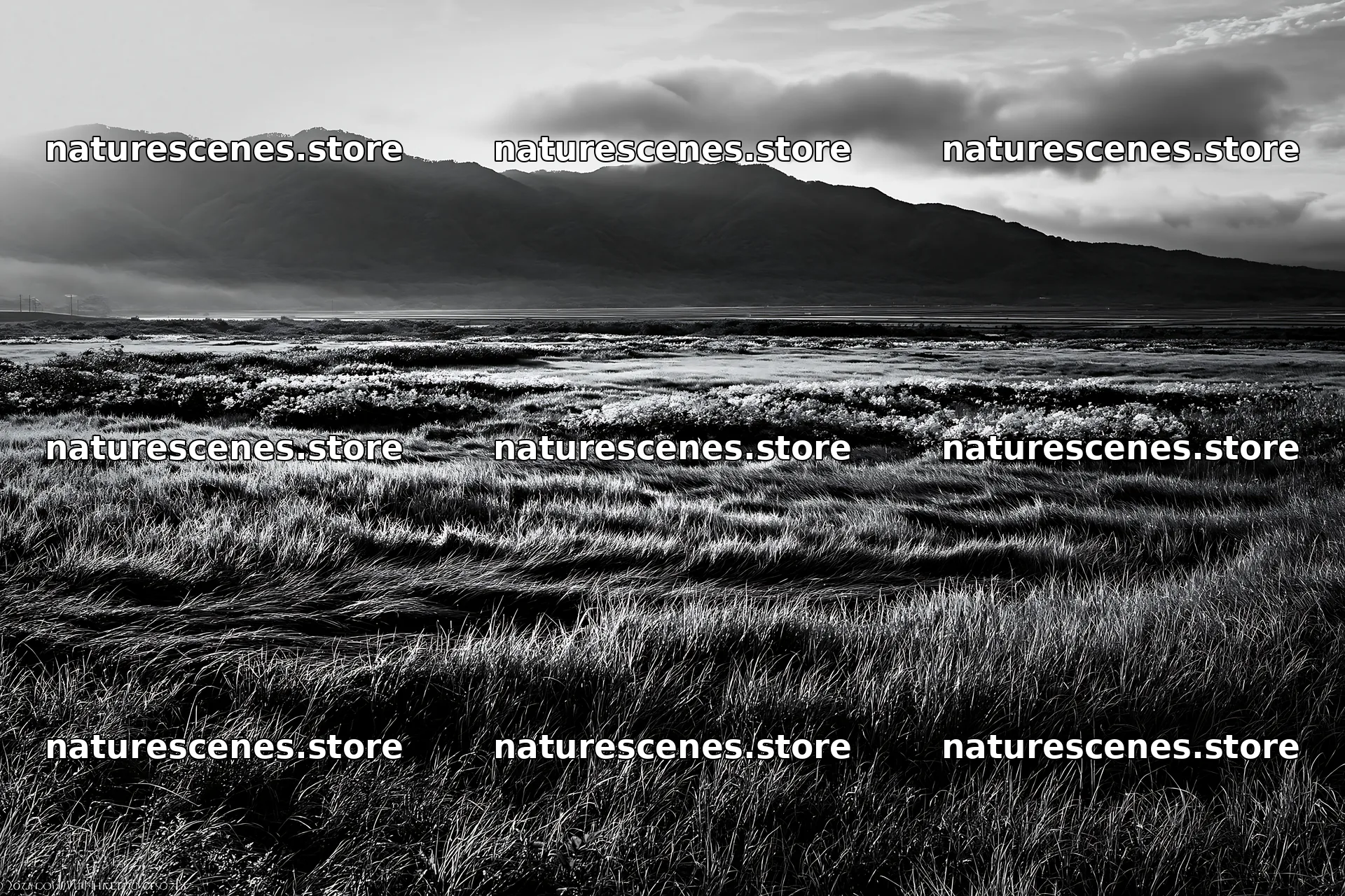 Expansive Hokkaido restoration meadow with dewdrops – nature scenes 9722x6480
