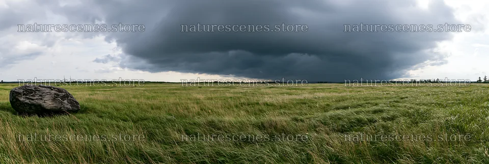 Aomori climate resilient meadow with boulder under cloudy sky – nature scenes 13690x4602