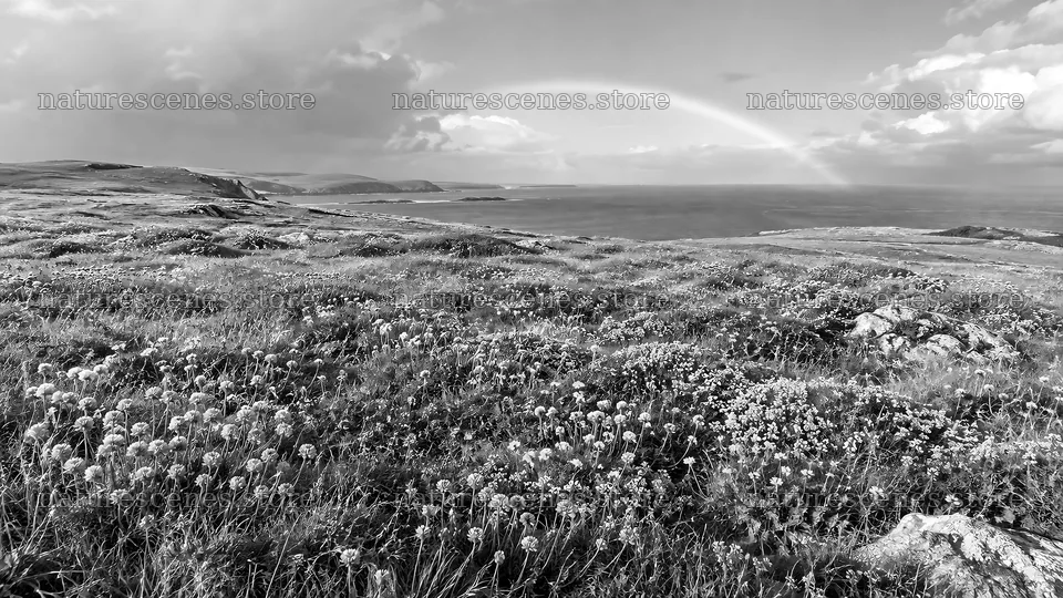 Black and White Coastal Meadow and Rainbow – nature scenes 10324x5812