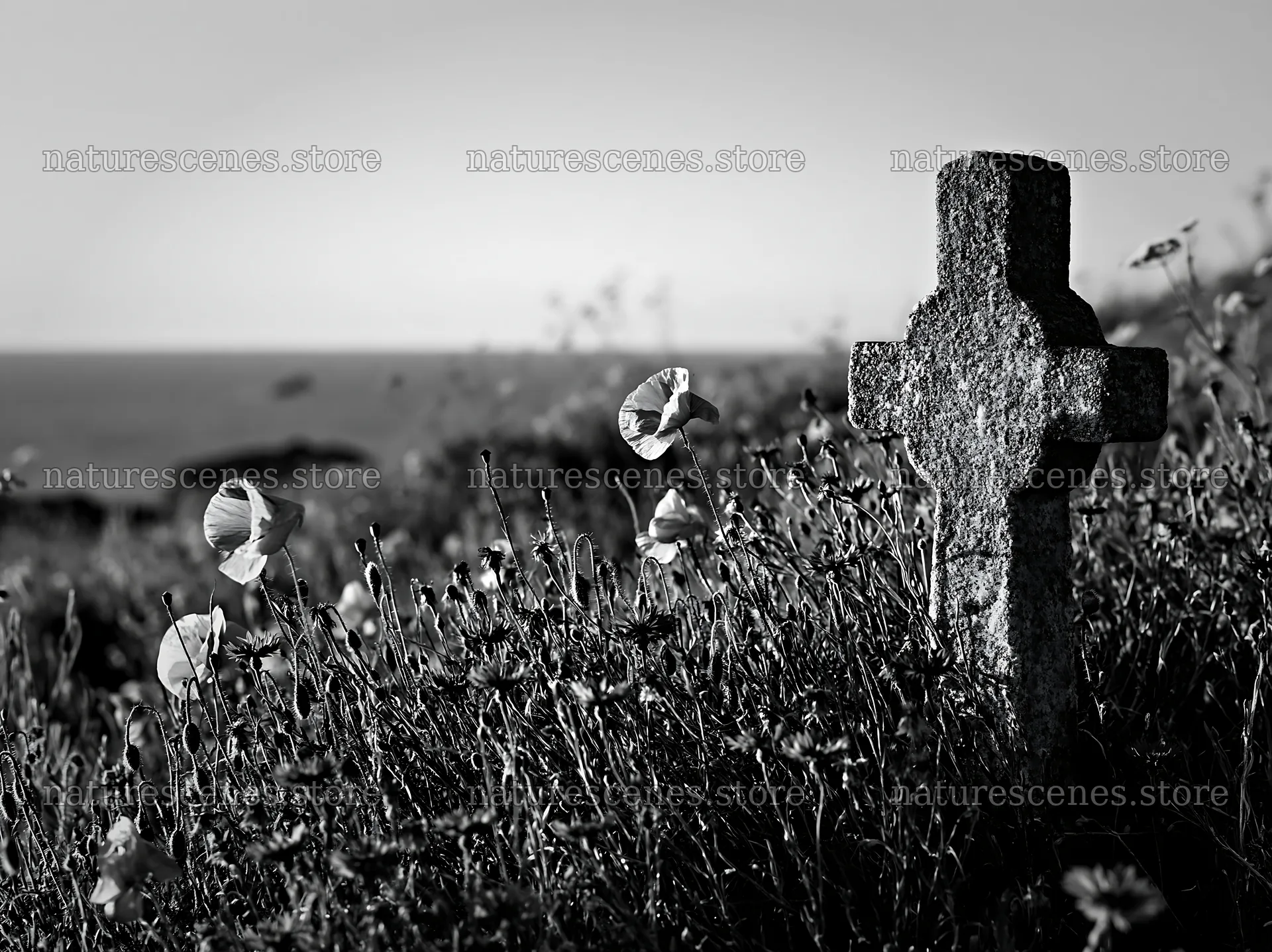 Stone Christian cross in snowy meadow – nature scenes 9174x6866