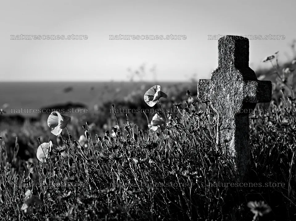 Stone Christian cross in snowy meadow – nature scenes 9174x6866