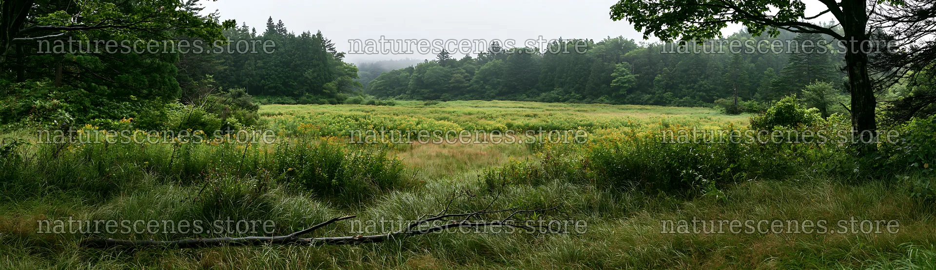 Yamagata rewilded meadow fallen branch foreground – nature scenes 14762x4268