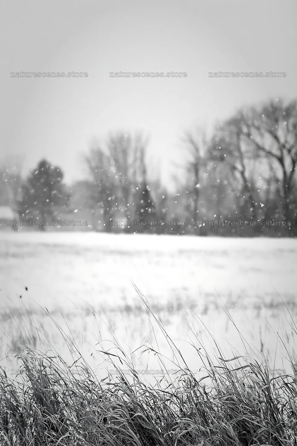 Snowy meadow with falling snowflakes in winter season – nature scenes 6480x9722