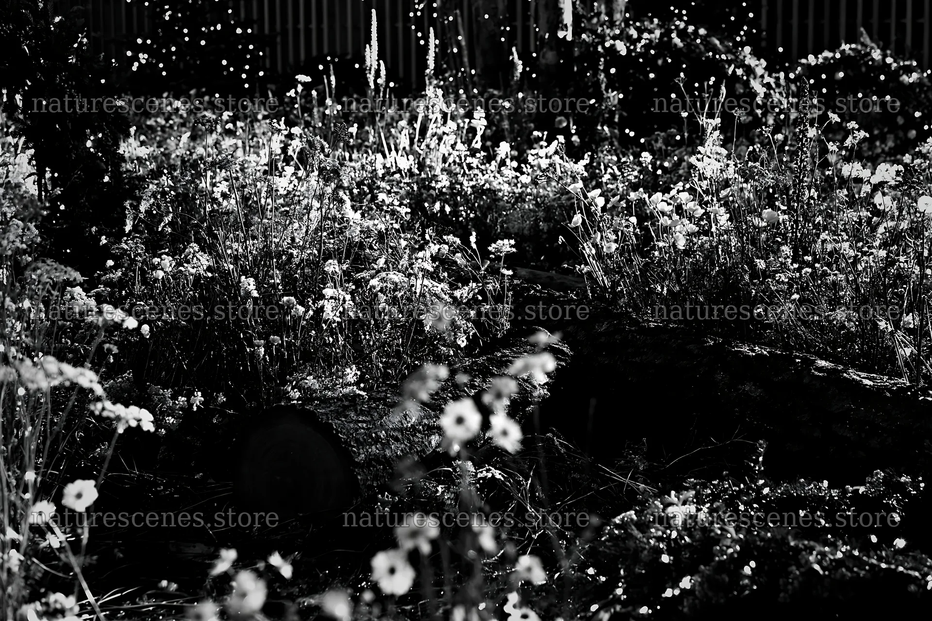 Christmas meadow with wreaths and log for rainwater retention – nature scenes 9722x6480
