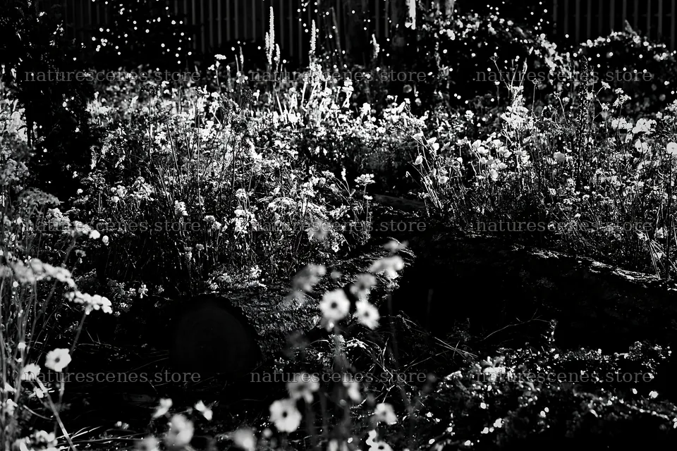 Christmas meadow with wreaths and log for rainwater retention – nature scenes 9722x6480