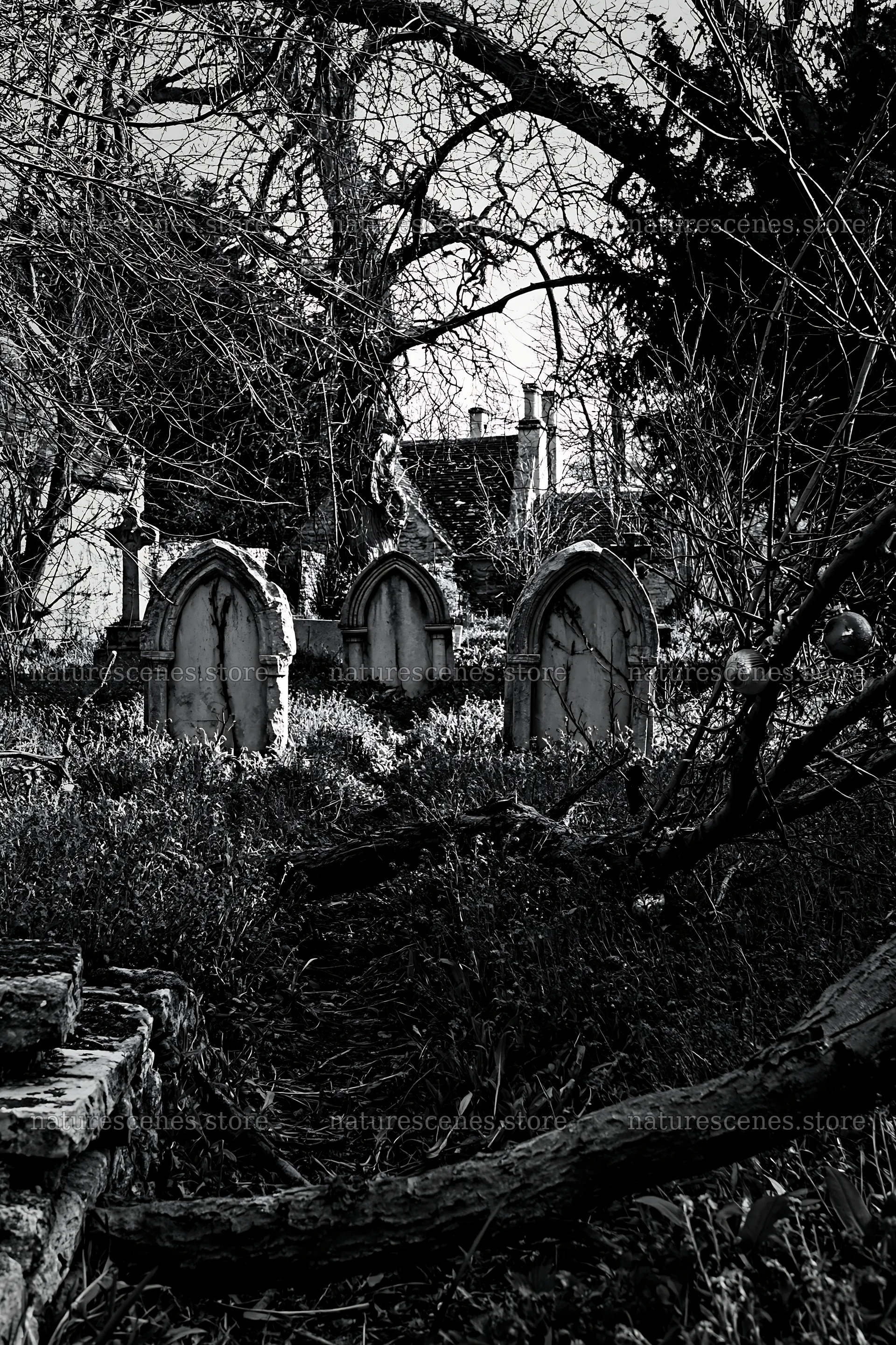 Expansive Christmas meadow with baubles and a graveyard scene – nature scenes 6480x9722