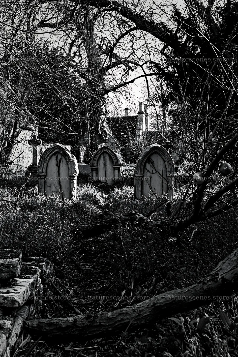 Expansive Christmas meadow with baubles and a graveyard scene – nature scenes 6480x9722