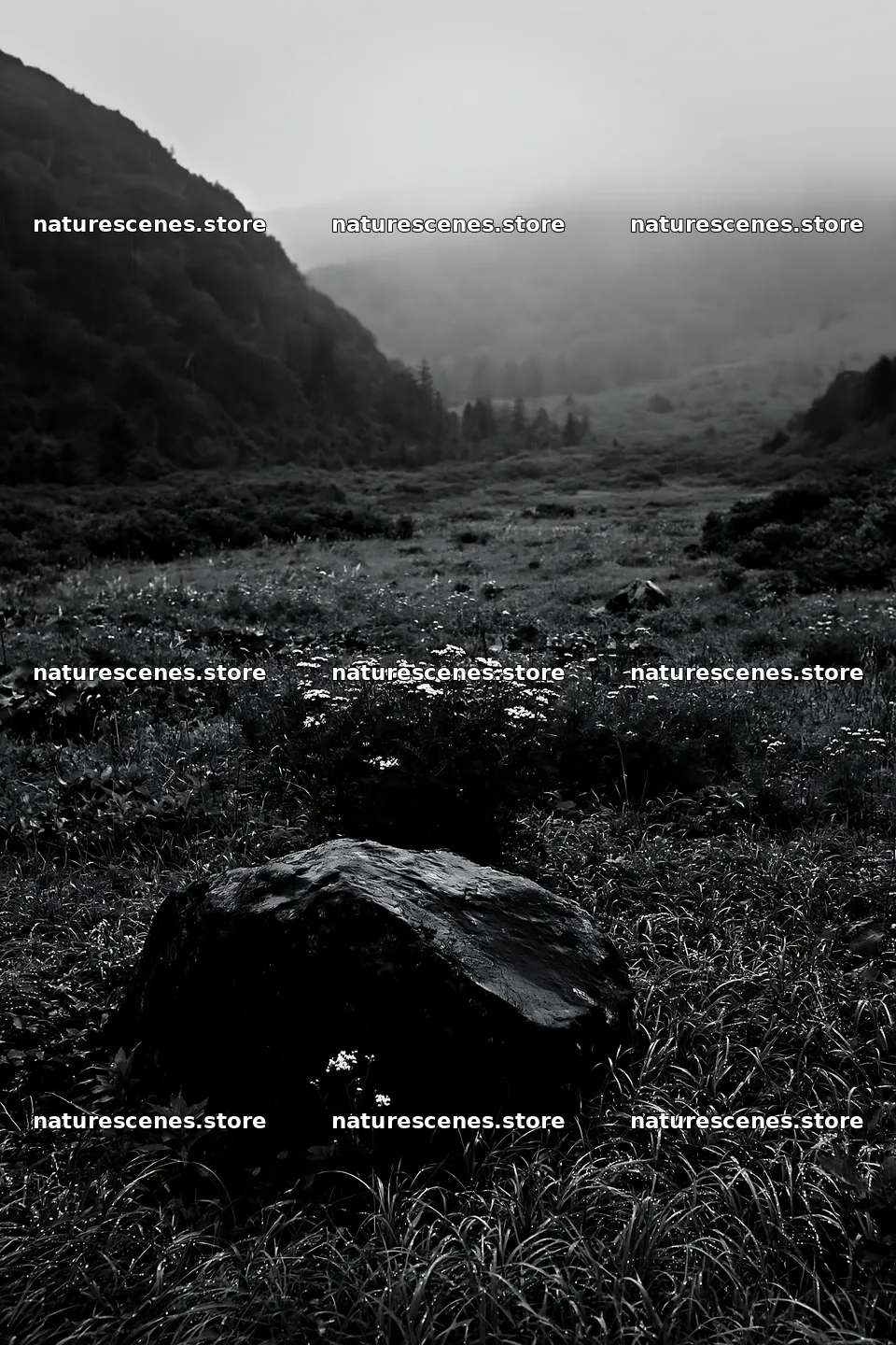 Aomori climate resilient meadow with boulder under misty sky – nature scenes 6480x9722