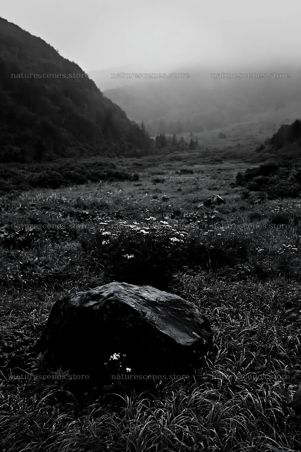 Aomori climate resilient meadow with boulder under misty sky – nature scenes 6480x9722