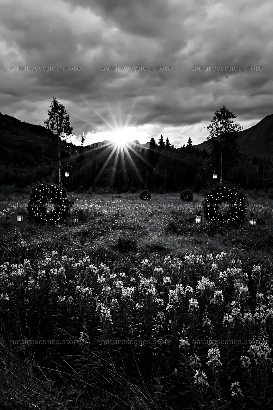 Christmas wreaths in meadow under dramatic clouds and rays – nature scenes 6480x9722
