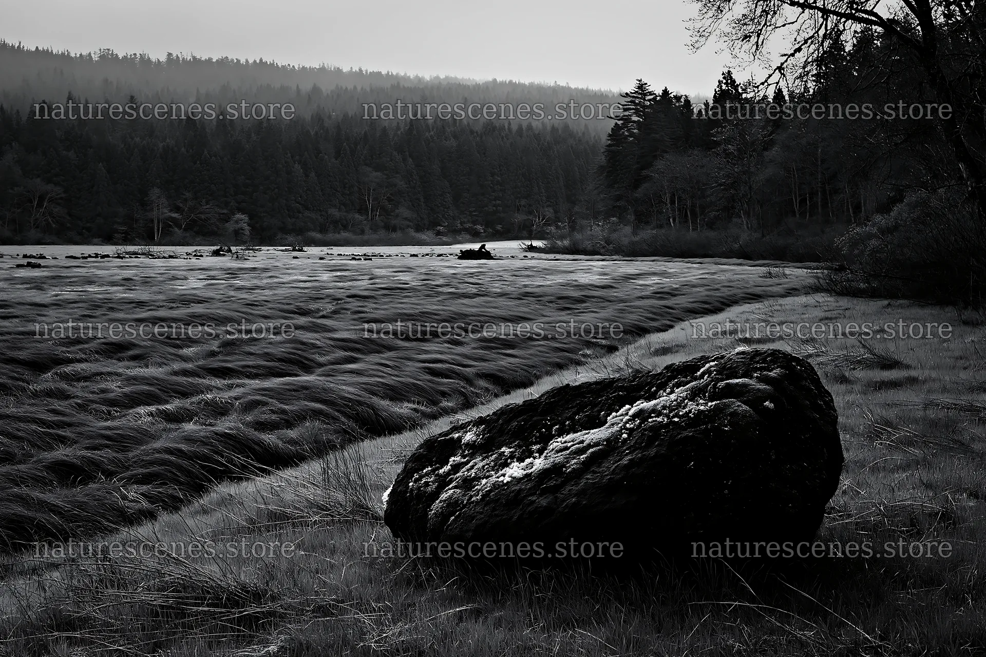 Miyagi spring recovery meadow mossy stone in green landscape – nature scenes 9722x6480