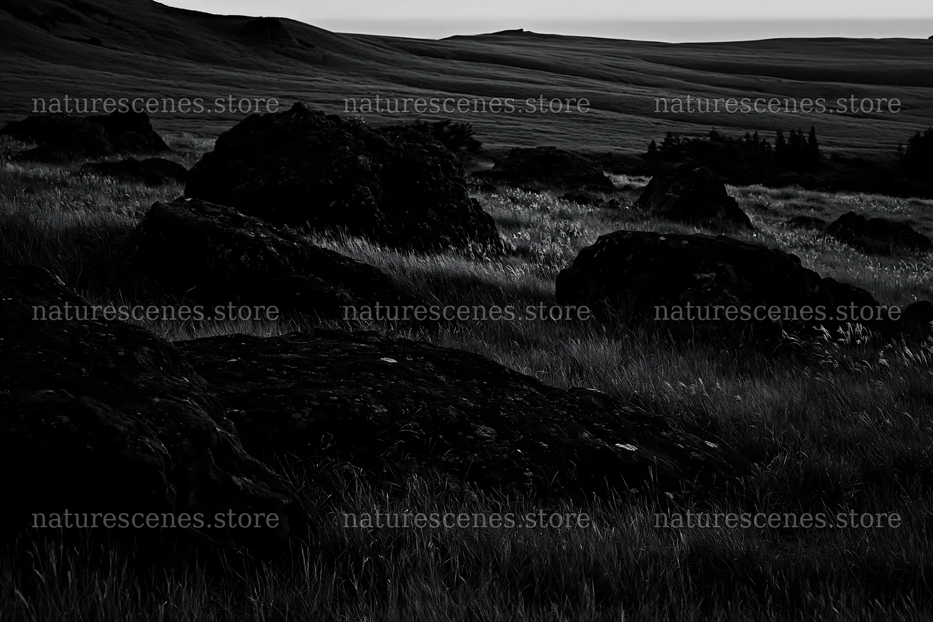 Restored Kumamoto silver grass meadow with boulders – nature scenes 9722x6480