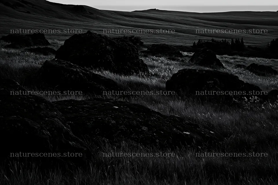 Restored Kumamoto silver grass meadow with boulders – nature scenes 9722x6480