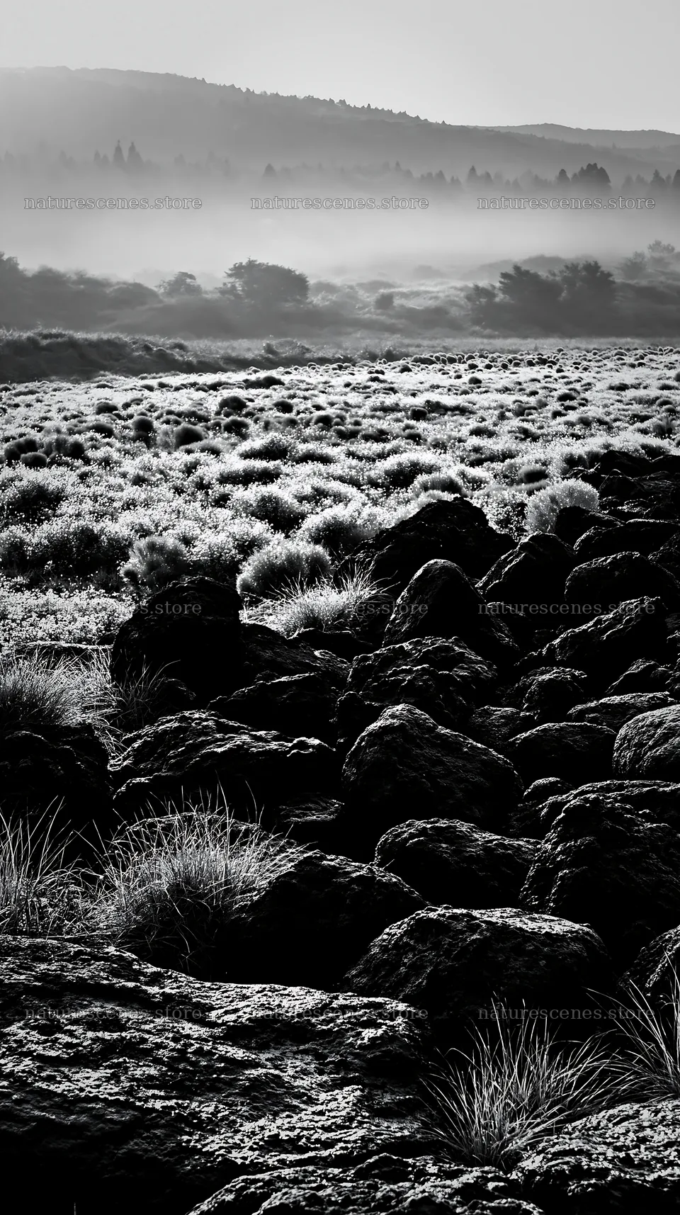 Kanagawa volcanic stones in a heat resilient meadow – nature scenes 5938x10608