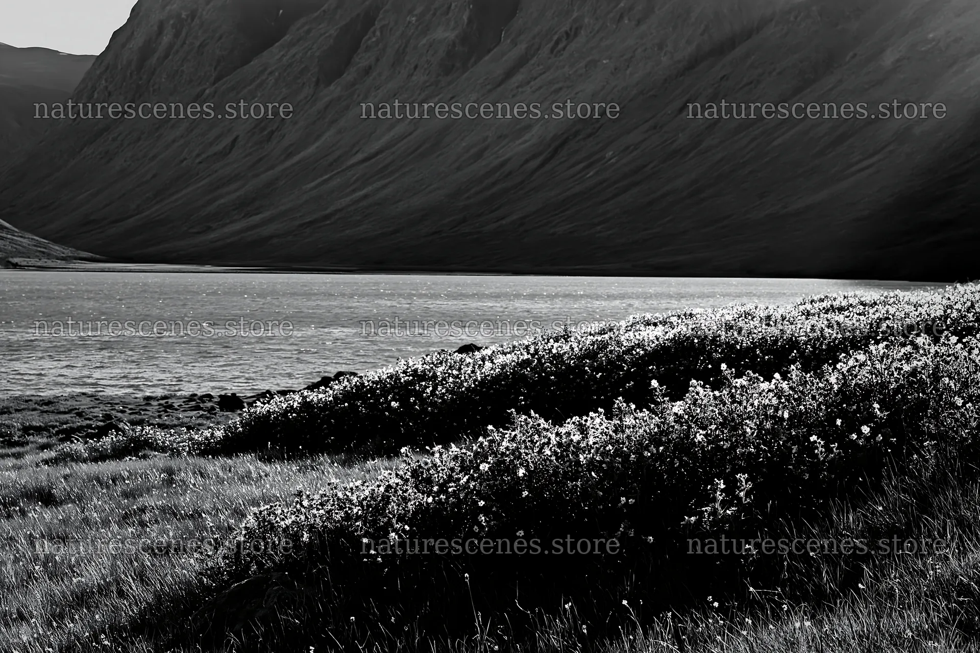 Sunlight shining on meadow in Jotunheimen valley – nature scenes 9722x6480