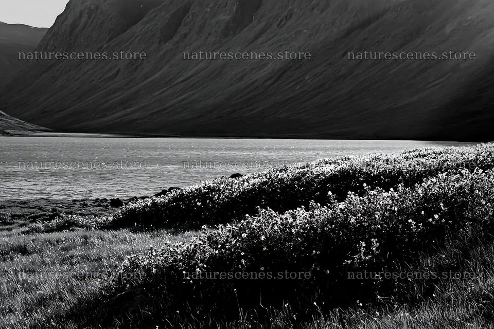 Sunlight shining on meadow in Jotunheimen valley – nature scenes 9722x6480