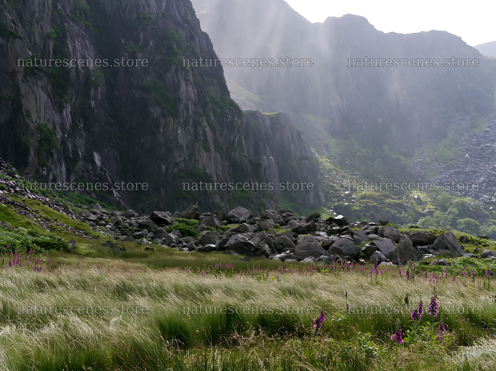 Meadow beneath crags with wildflowers in mountain landscape – nature scenes 9174x6866