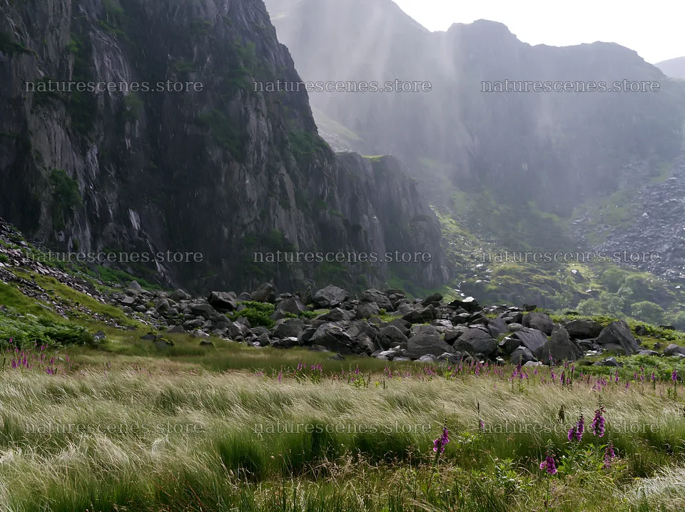 Meadow beneath crags with wildflowers in mountain landscape – nature scenes 9174x6866