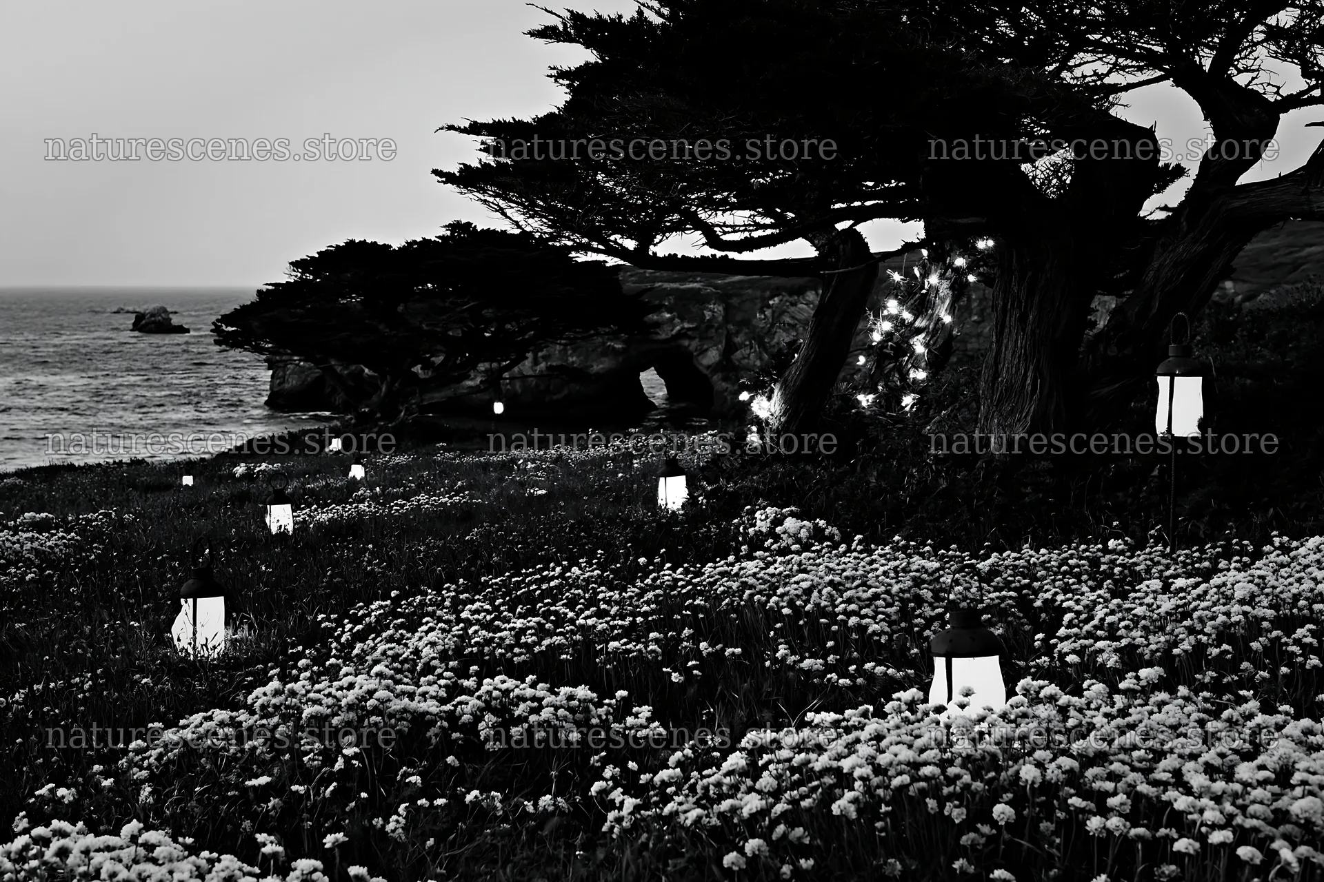 Christmas lanterns at dusk in meadow near cave – nature scenes 9722x6480