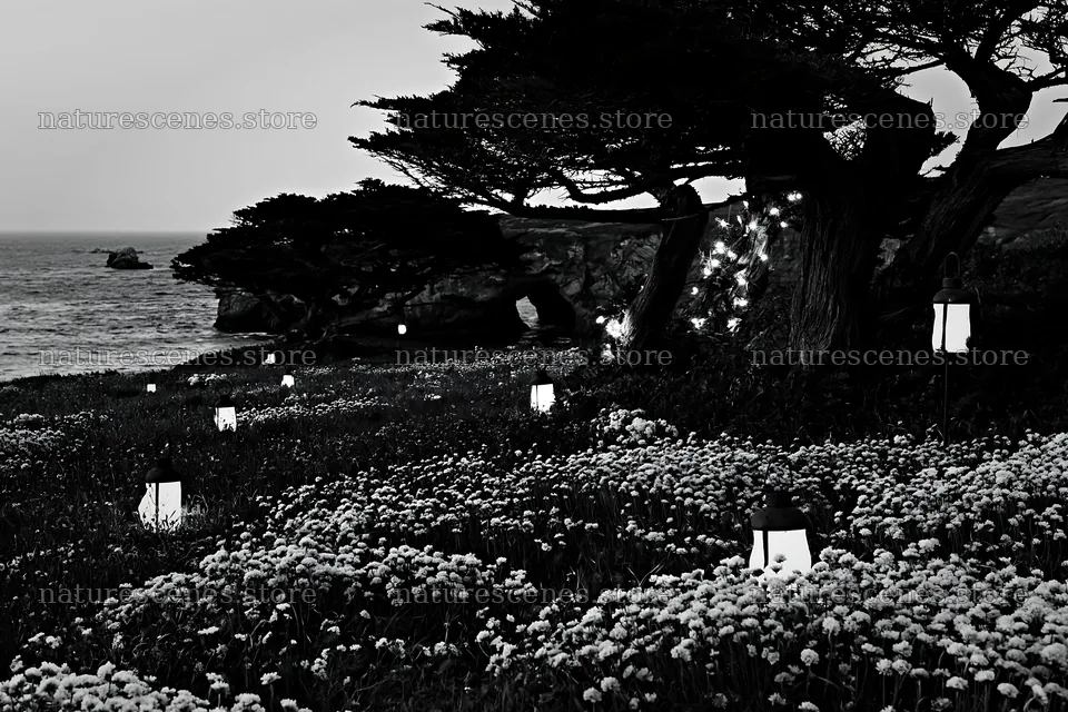 Christmas lanterns at dusk in meadow near cave – nature scenes 9722x6480