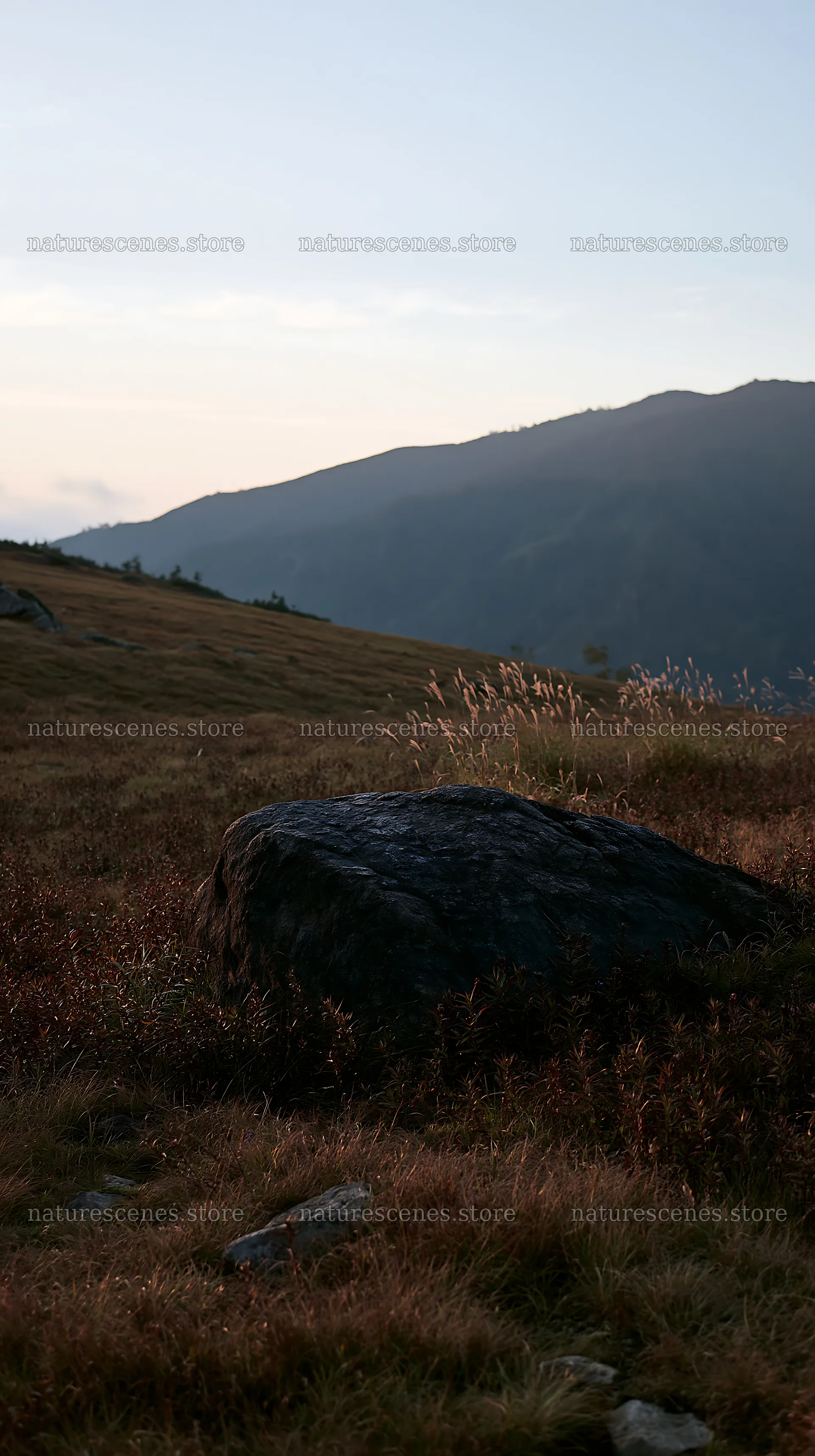 Nagano drought resilient meadow granite boulder – nature scenes 5938x10608