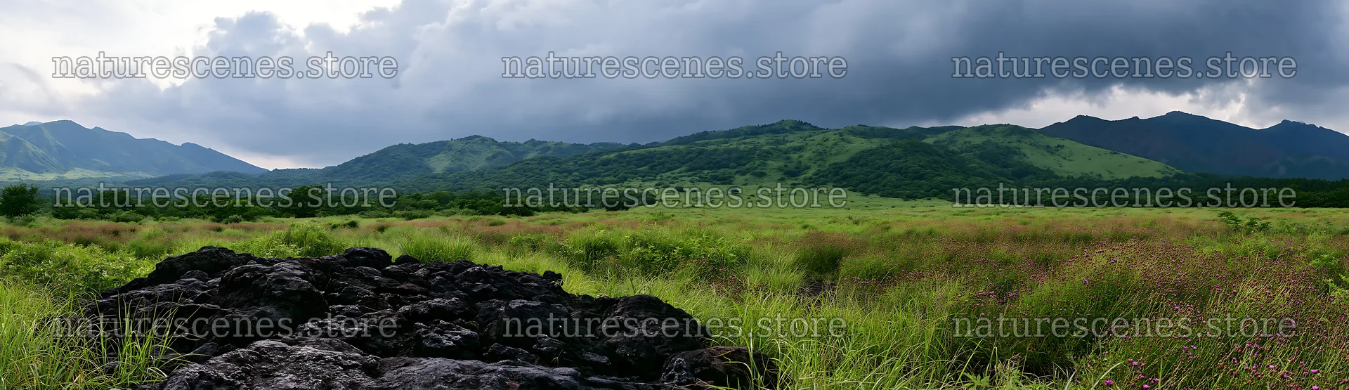 Kumamoto volcanic meadow with dark rock in foreground – nature scenes 14762x4268