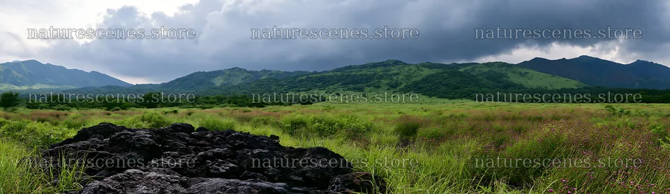 Kumamoto volcanic meadow with dark rock in foreground – nature scenes 14762x4268