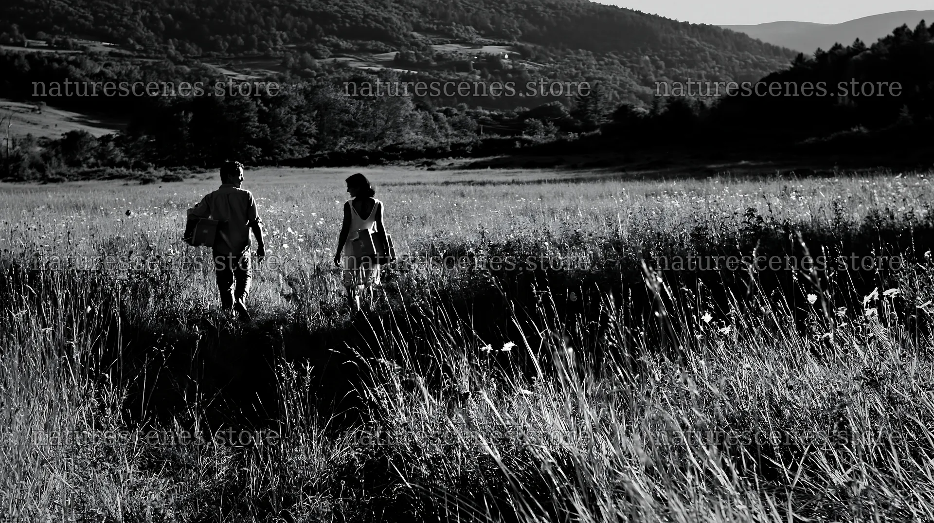 Couple walking through meadow in black and white – nature scenes 10608x5938