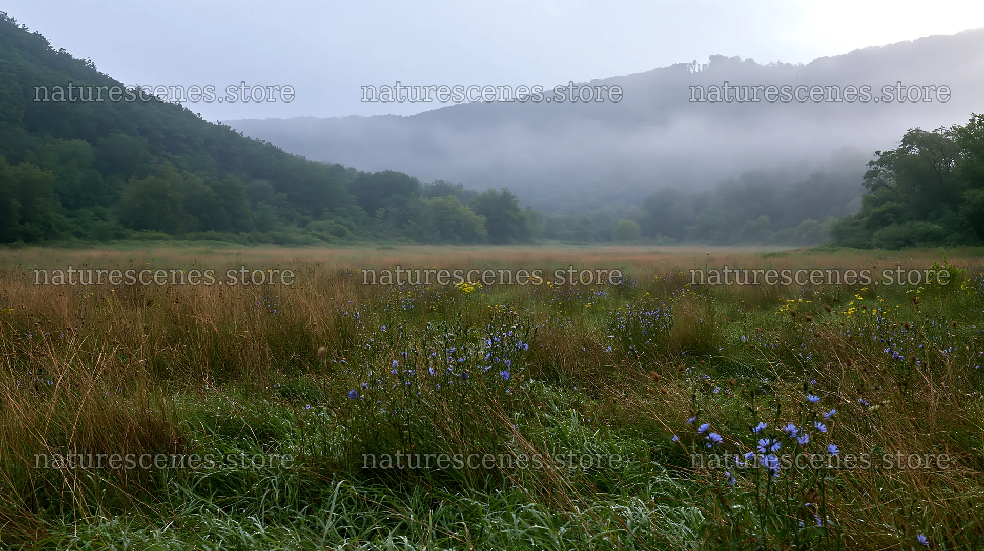 Hungarian meadow along wooded valley with fog in the morning – nature scenes 10608x5938