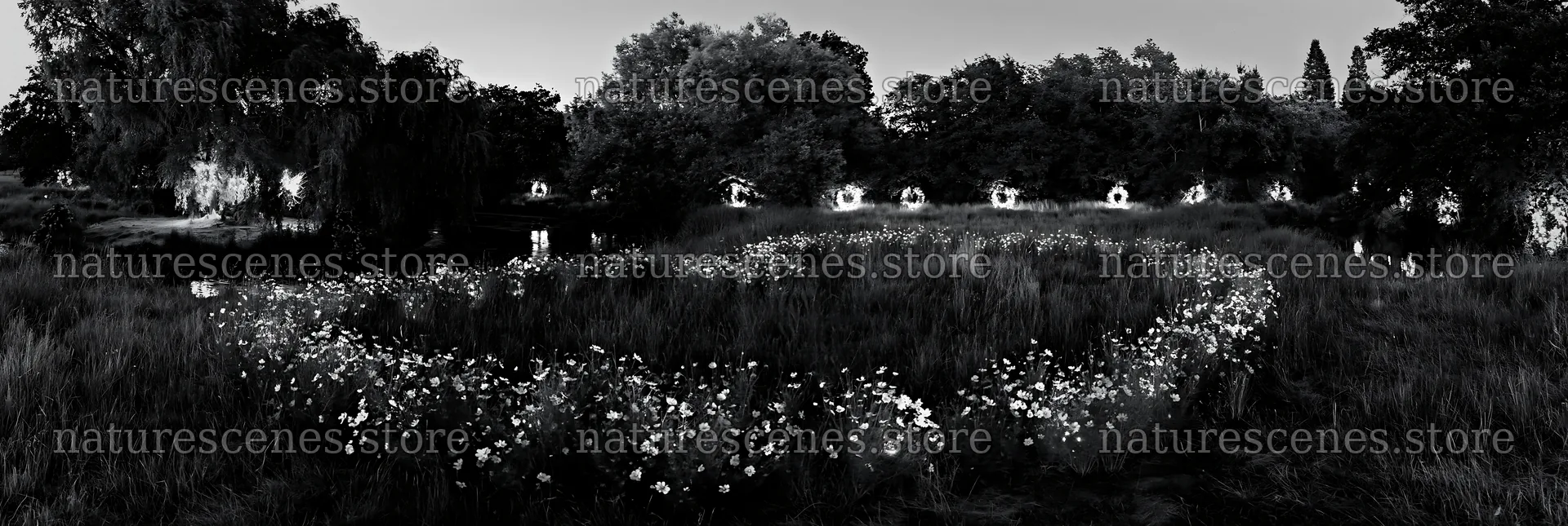 Christmas wreaths beside stream in meadow during winter – nature scenes 13690x4602