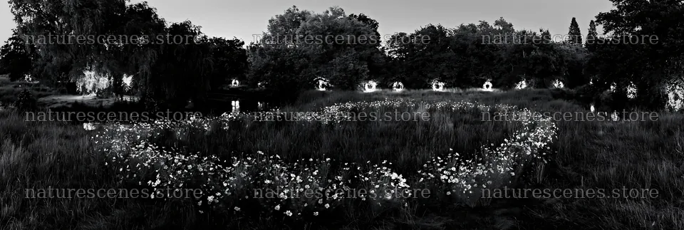 Christmas wreaths beside stream in meadow during winter – nature scenes 13690x4602