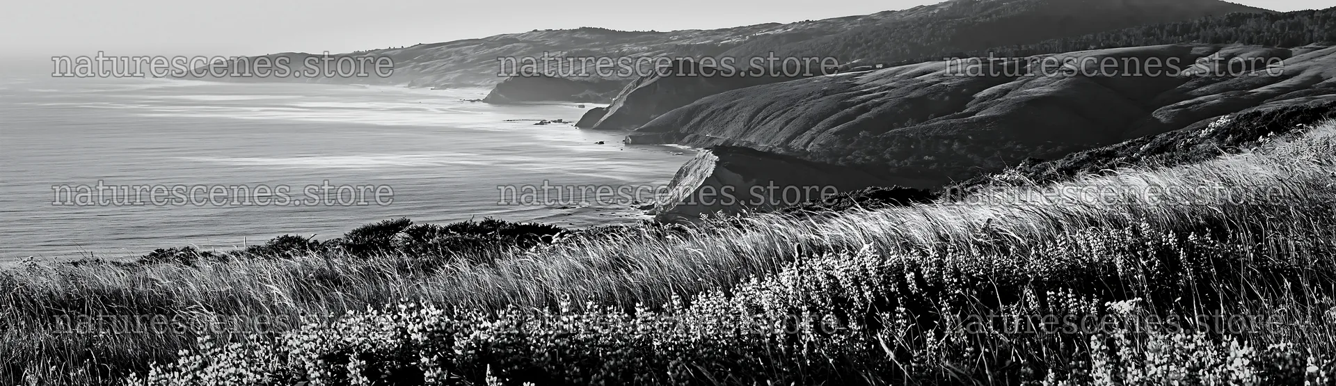 Clifftop meadow overlooking the ocean and rolling hills – nature scenes 14762x4268