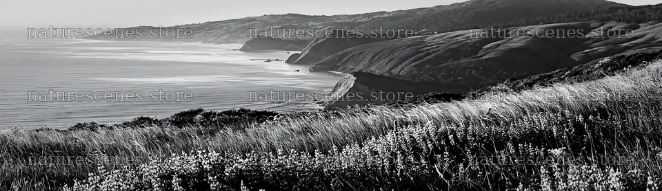 Clifftop meadow overlooking the ocean and rolling hills – nature scenes 14762x4268