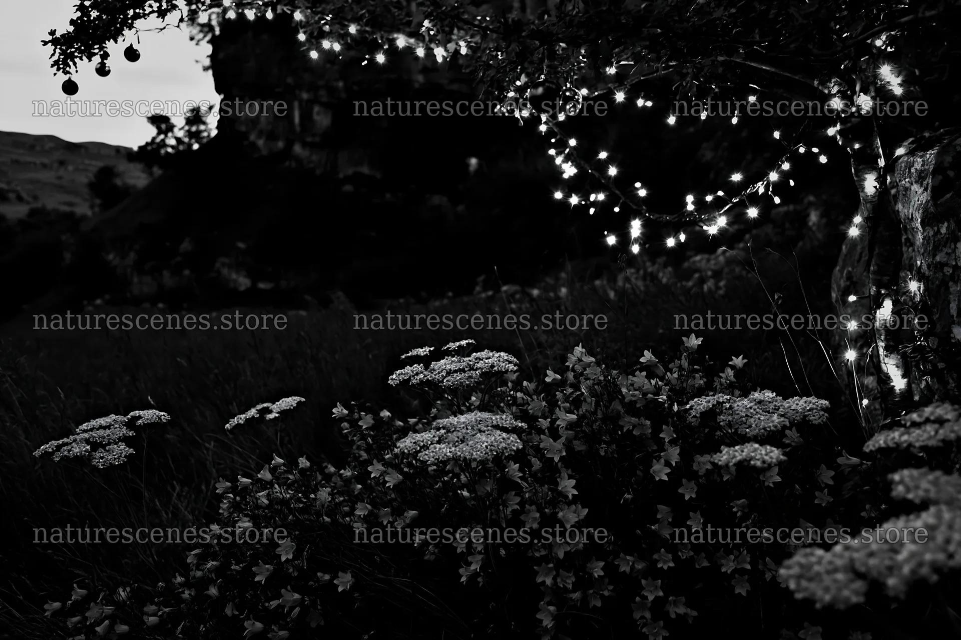 Christmas lights shine in meadow by cave at dusk – nature scenes 9722x6480