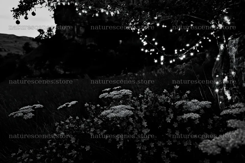 Christmas lights shine in meadow by cave at dusk – nature scenes 9722x6480