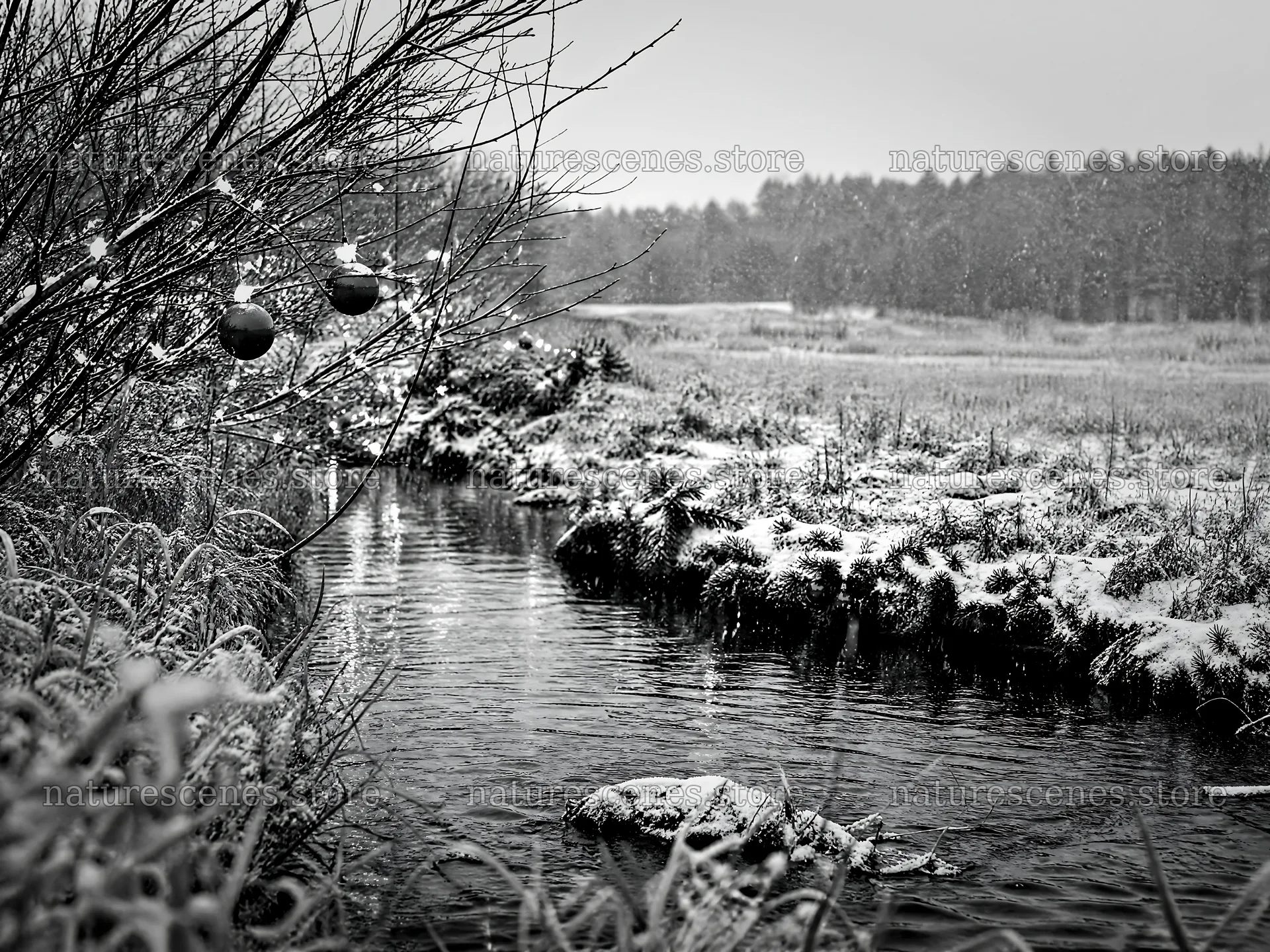 Christmas ornaments along stream in snowy meadow – nature scenes 9166x6874