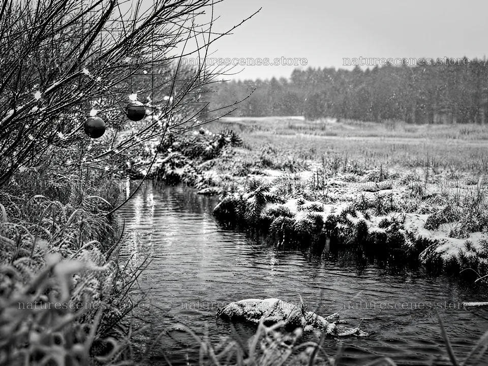 Christmas ornaments along stream in snowy meadow – nature scenes 9166x6874