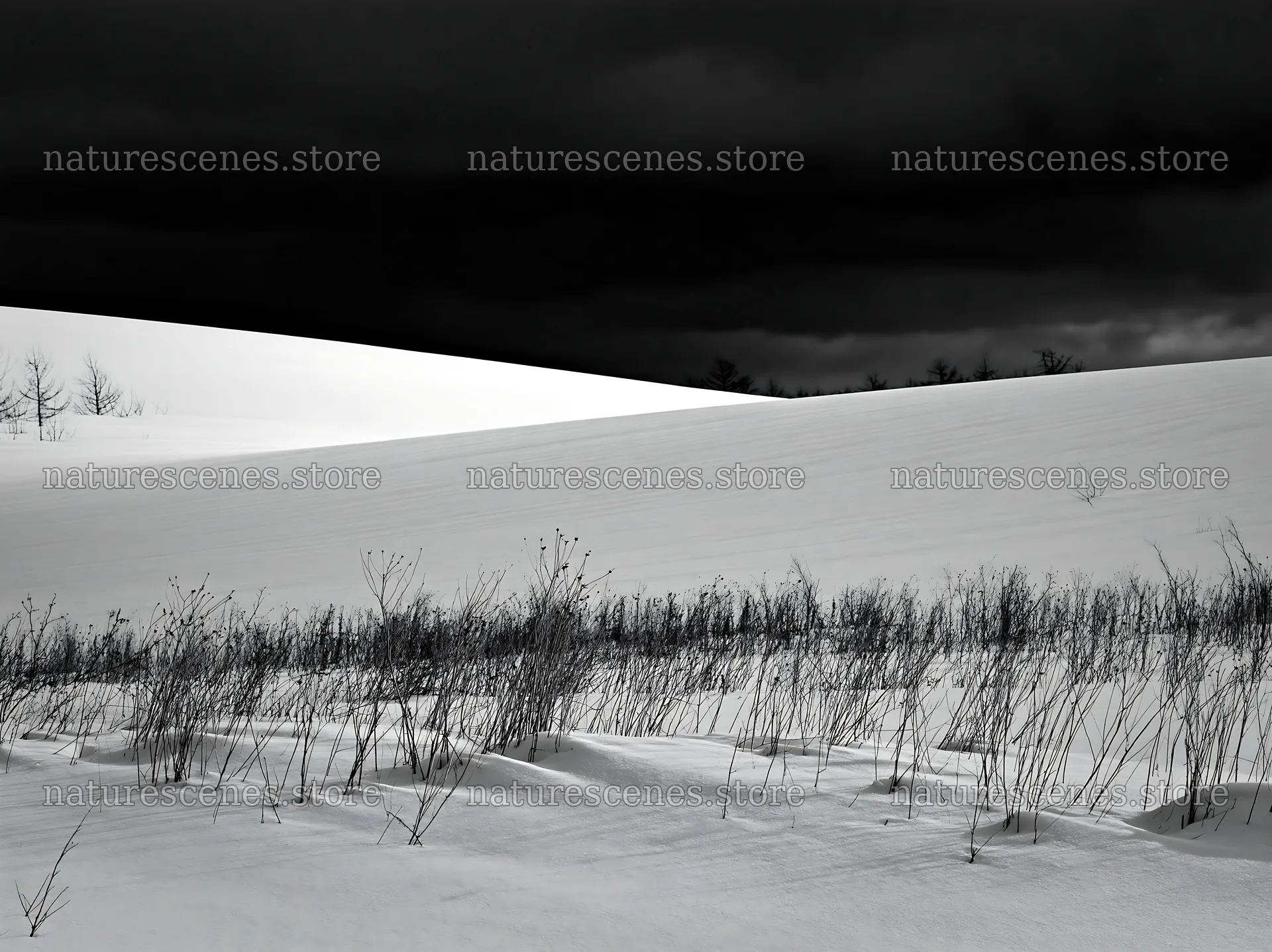 Snow covered Biei hills meadow under dark clouds – nature scenes 9174x6866