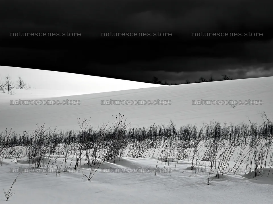 Snow covered Biei hills meadow under dark clouds – nature scenes 9174x6866